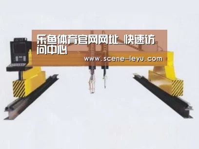 产品名称十七